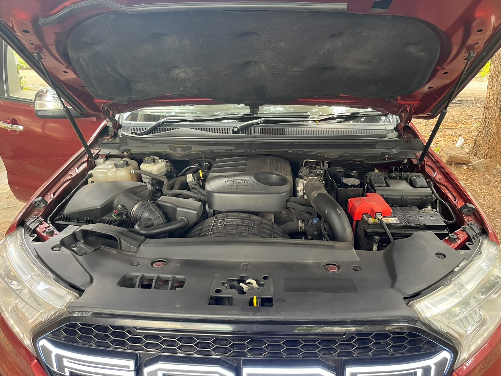 Ford Endeavour - Image 2